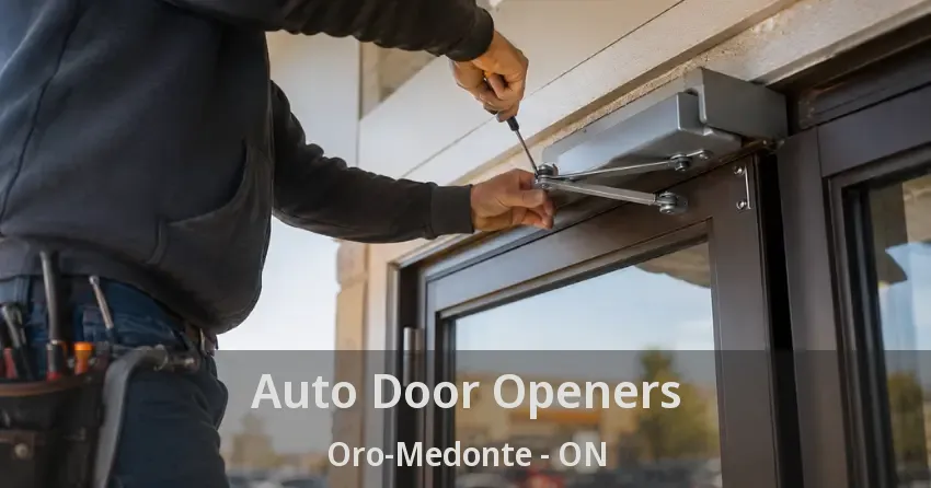 Auto Door Openers Oro-Medonte - ON
