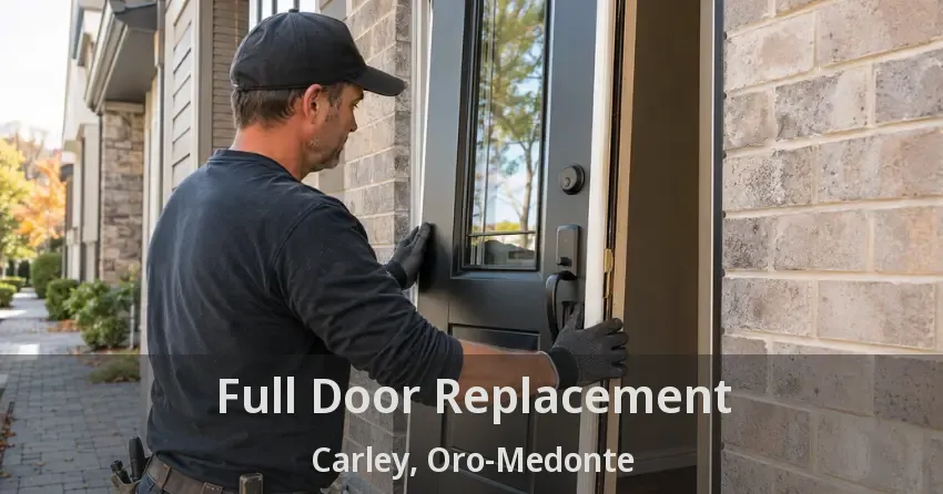 Full Door Replacement Carley, Oro-Medonte - ON