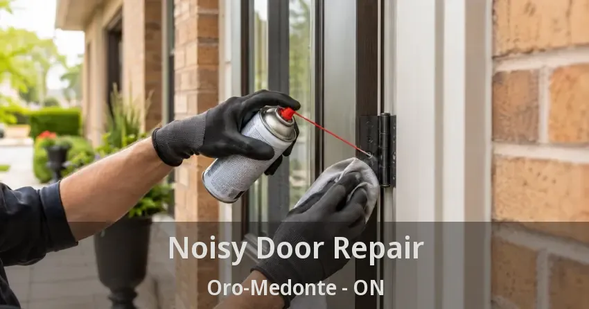 Noisy Door Repair Oro-Medonte - ON