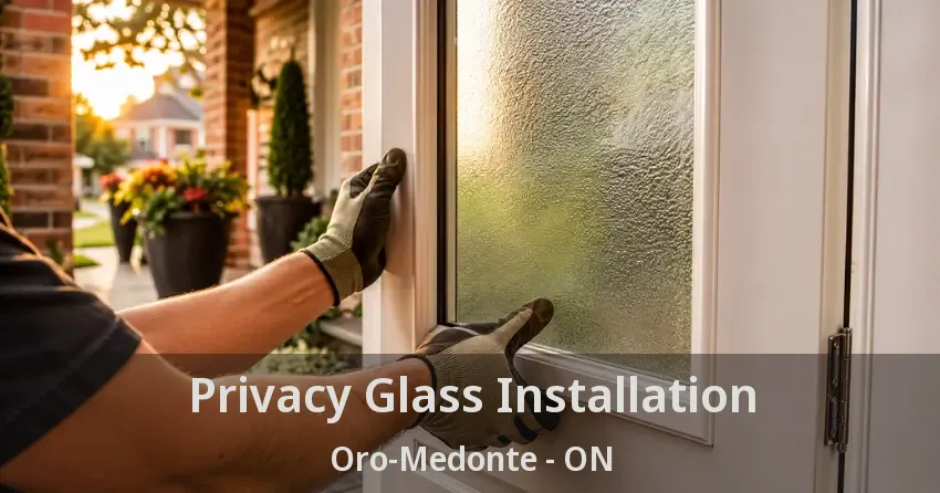 Privacy Glass Installation Oro-Medonte - ON