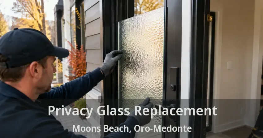 Privacy Glass Replacement Moons Beach, Oro-Medonte - ON
